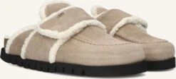 Taupe Nubikk Slipper Teddy Fur