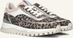 Beige Floris Van Bommel Sneaker Low Sfw-10131 Grommi